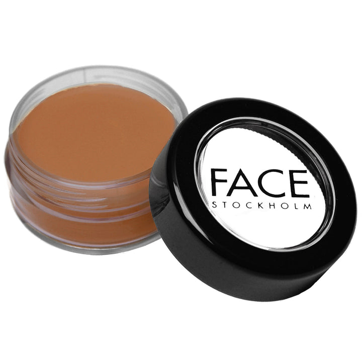 Picture Perfect Foundation - X